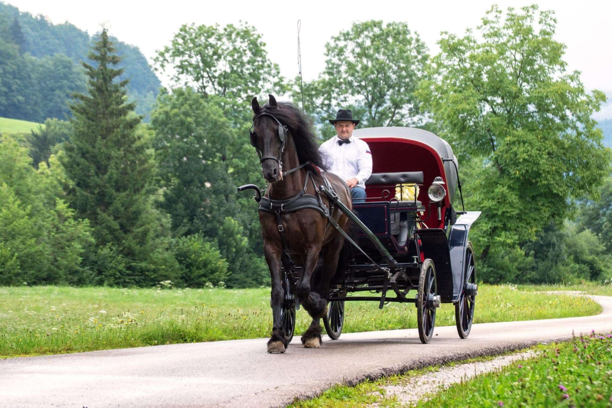 Ranč Fifi - vožnja s kočijo